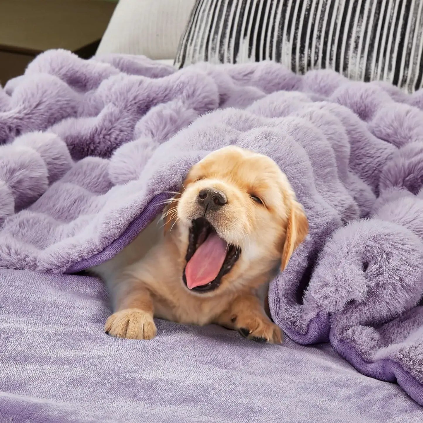 SBB™ Snuggle Bunny Blanket